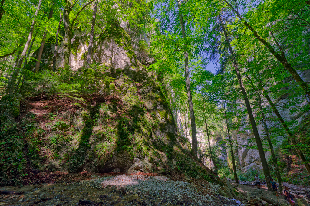 Brasov TimisuDeJos PoianaBrasov 11 16aug2024 237