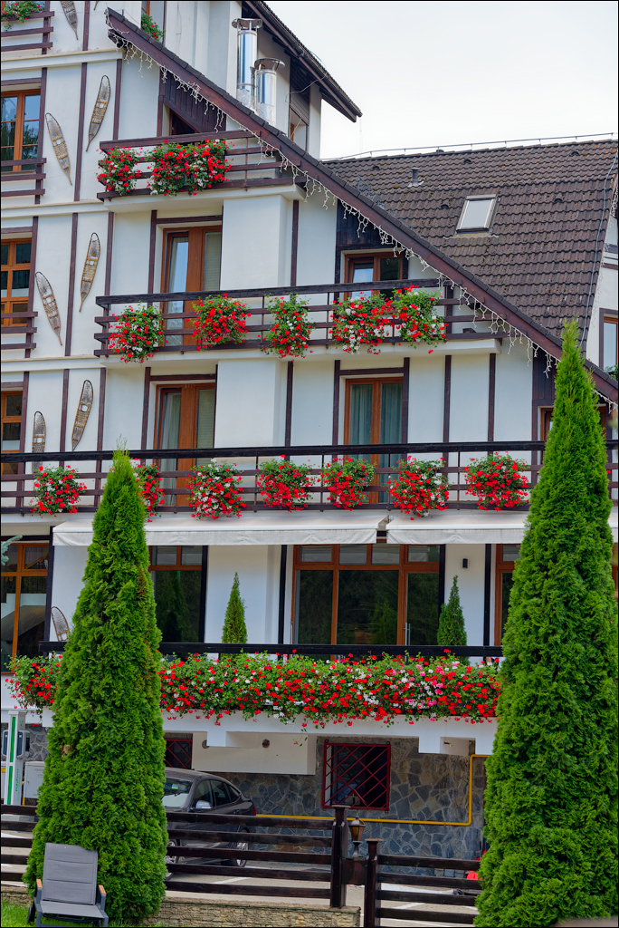 Brasov TimisuDeJos PoianaBrasov 11 16aug2024 275