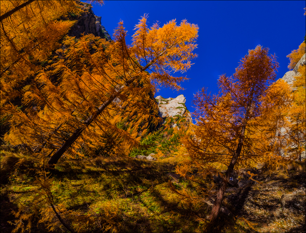 Bucegi Omu 20170912011