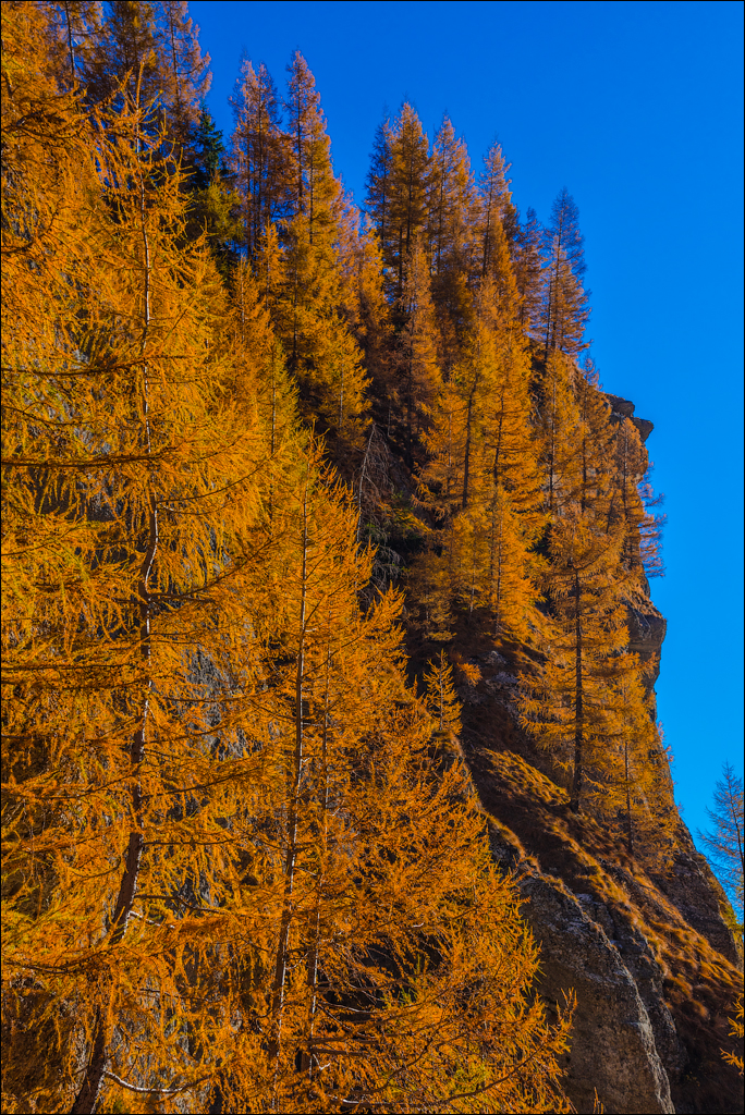 Bucegi Omu 20170912088