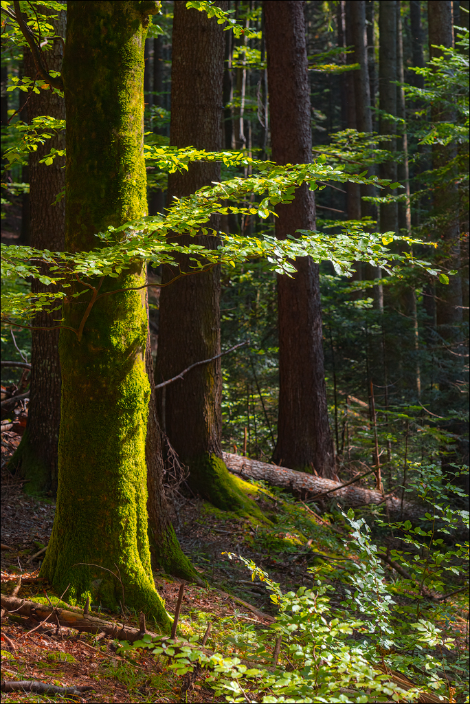 Durau Ceahlau 01 02oct2021 113