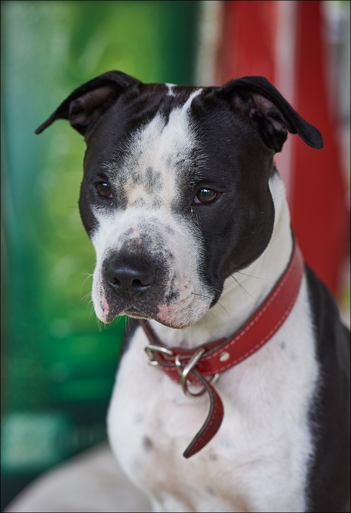 CheileTurzii 2017 153153