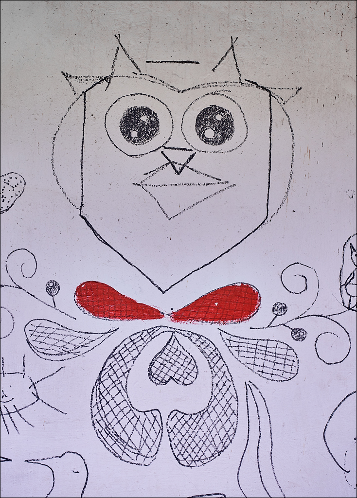 CheileTurzii 2017 154154