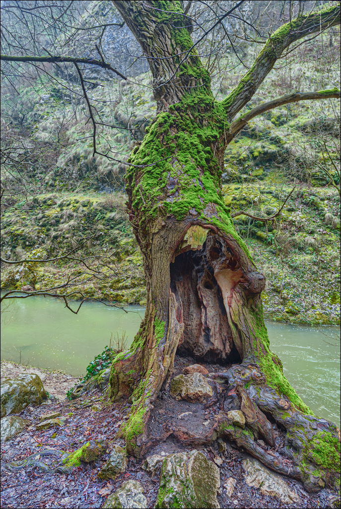 CheileTurzii Cluj 25 26feb2023 125