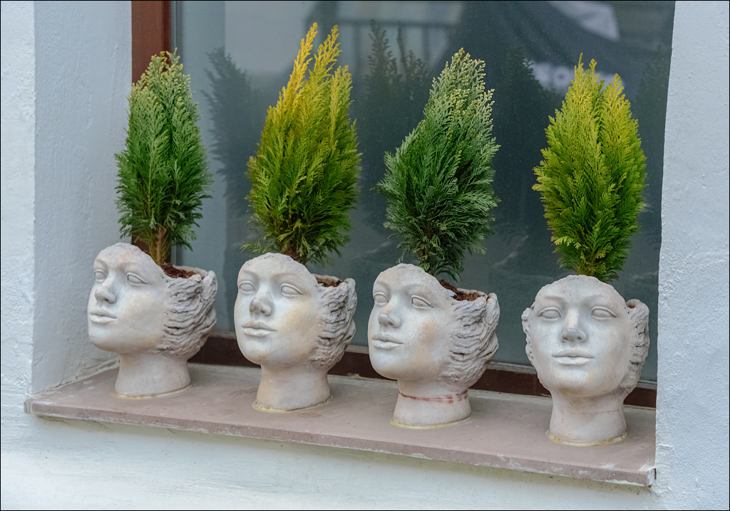 CheileTurzii Cluj 25 26feb2023 248