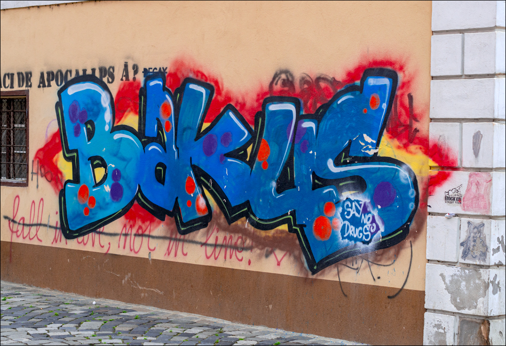 Cluj Napoca 20160605 212