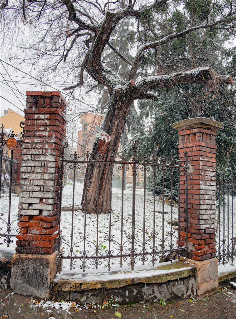 ClujNapoca PesteraUrsilor 20161111 213