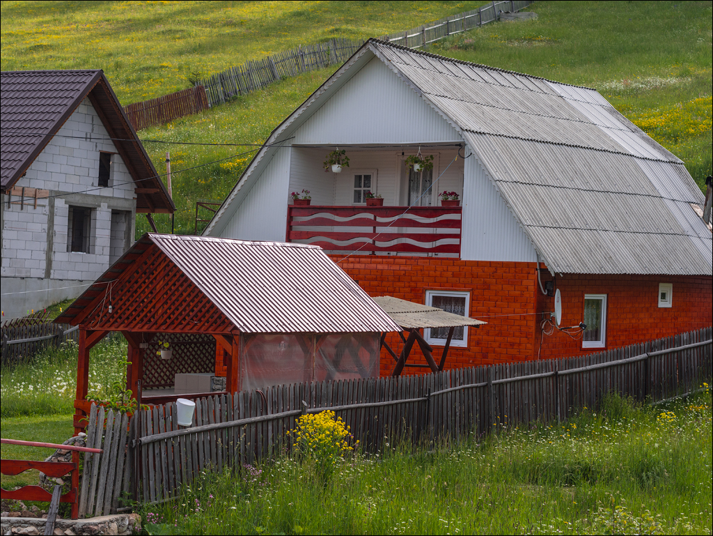 HasmasSinguratica 20180601 3017