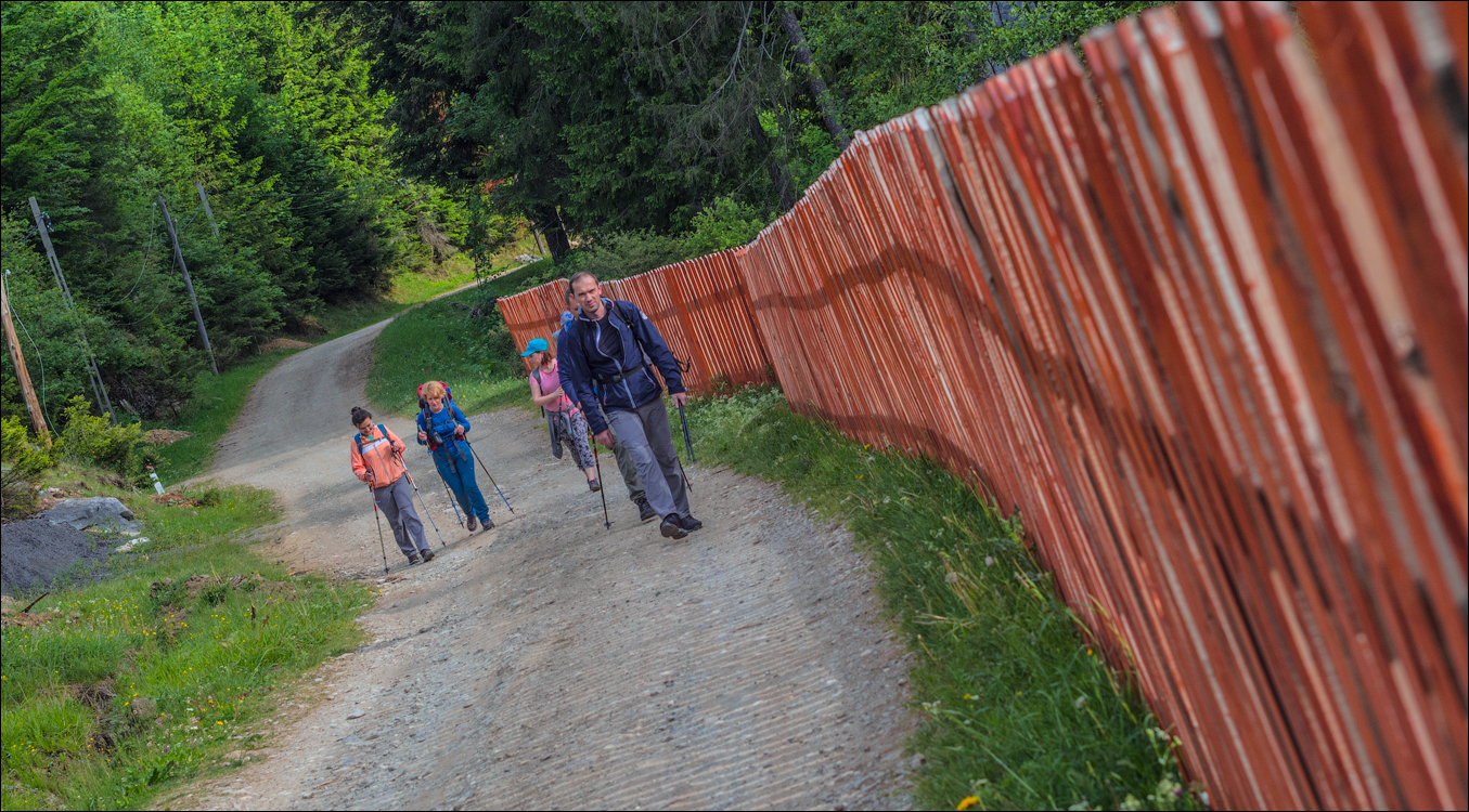 HasmasSinguratica 20180601 3018