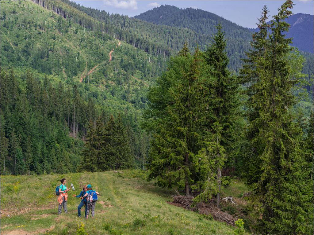 HasmasSinguratica 20180601 3023