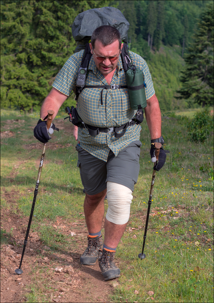 HasmasSinguratica 20180601 3025