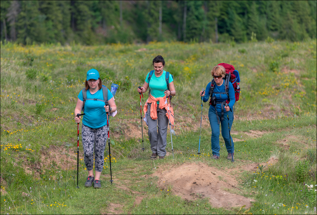 HasmasSinguratica 20180601 3029