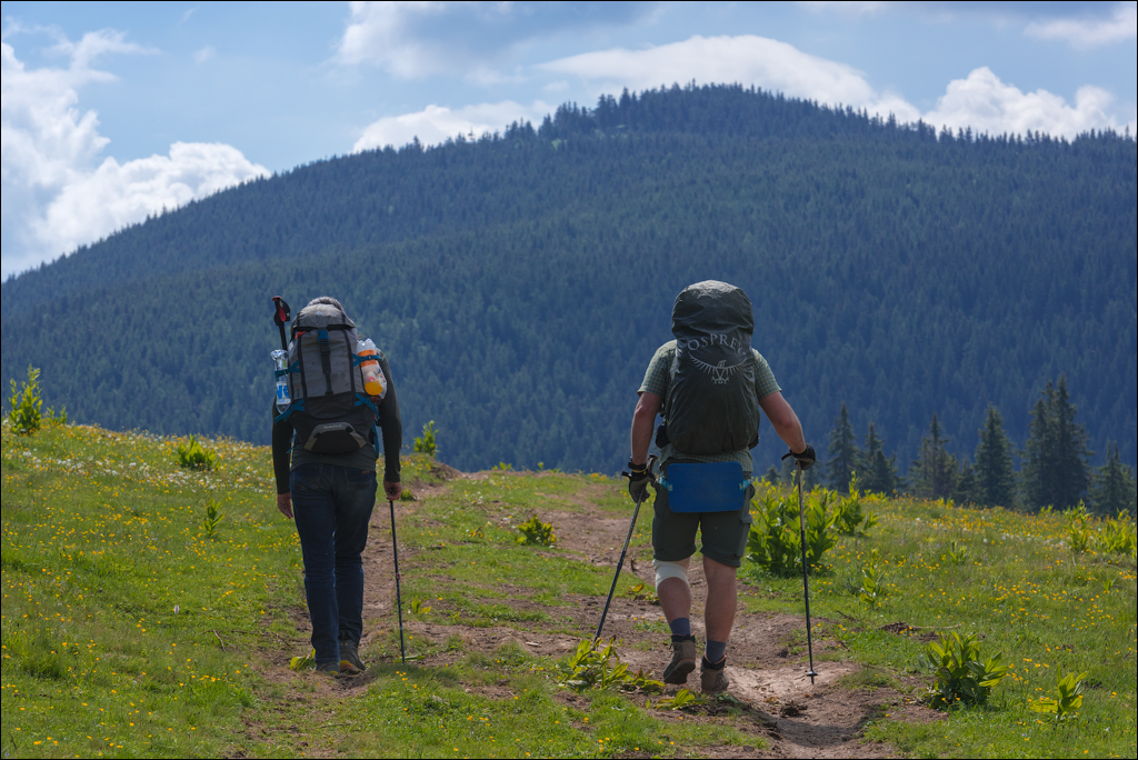 HasmasSinguratica 20180601 3034