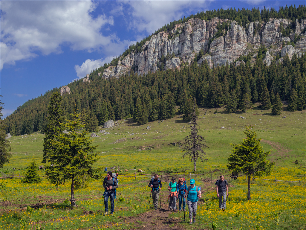 HasmasSinguratica 20180601 3038