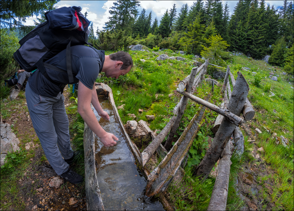 HasmasSinguratica 20180601 3044