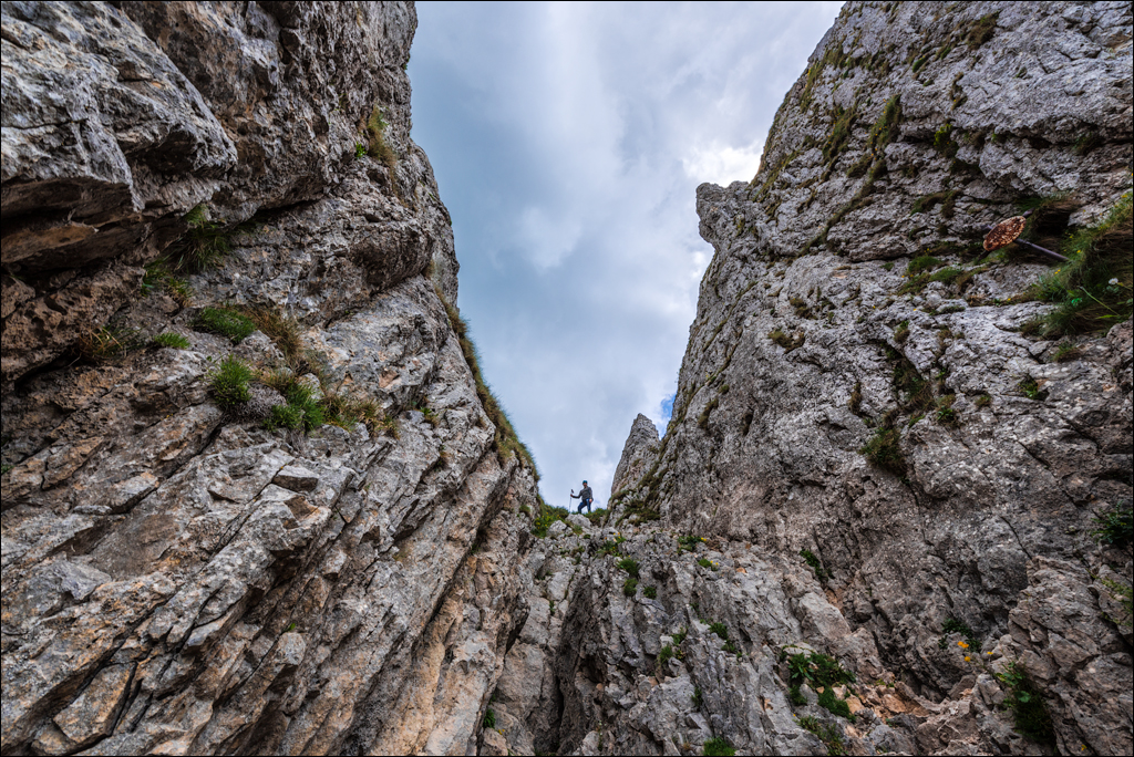 HasmasSinguratica 20180601 3129