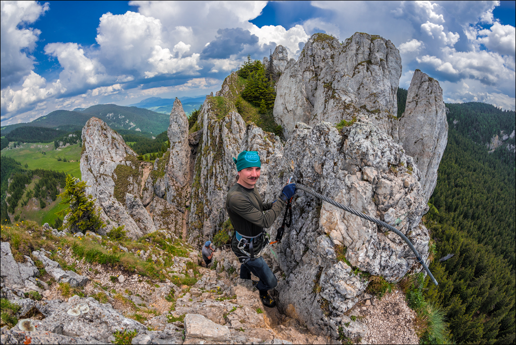 HasmasSinguratica 20180601 3135