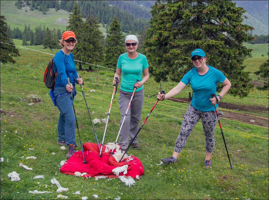 HasmasSinguratica 20180601 3145