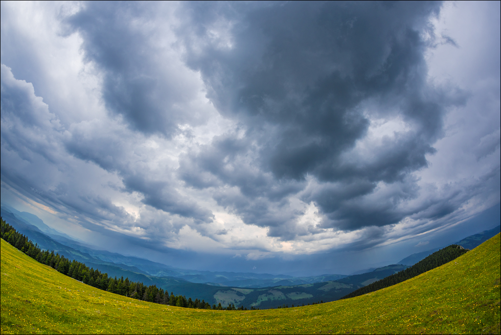 HasmasSinguratica 20180601 3149