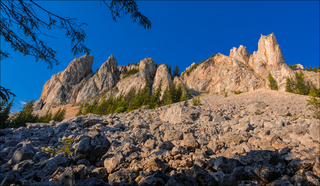 HasmasSinguratica 20180601 3183