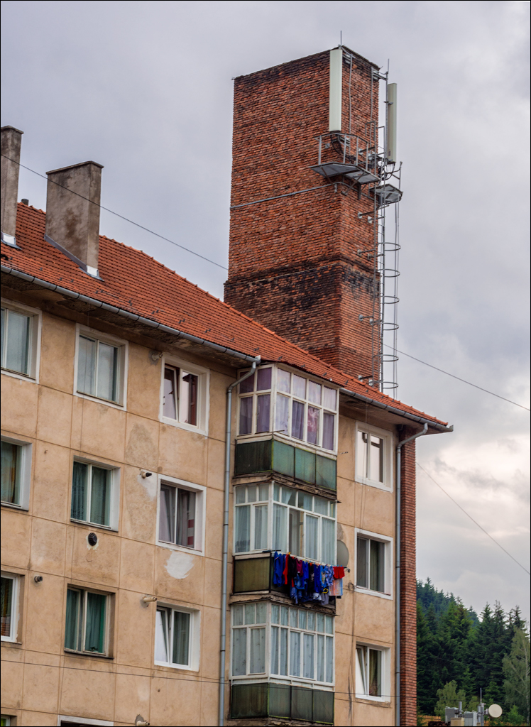 HasmasSinguratica 20180601 3212