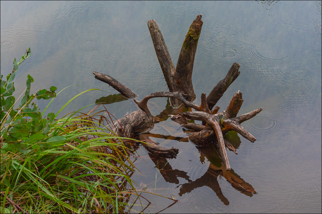 LaculRosu PiatraNeamt 27 31aug2021 128