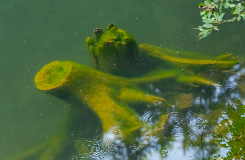 LaculRosu PiatraNeamt 27 31aug2021 136