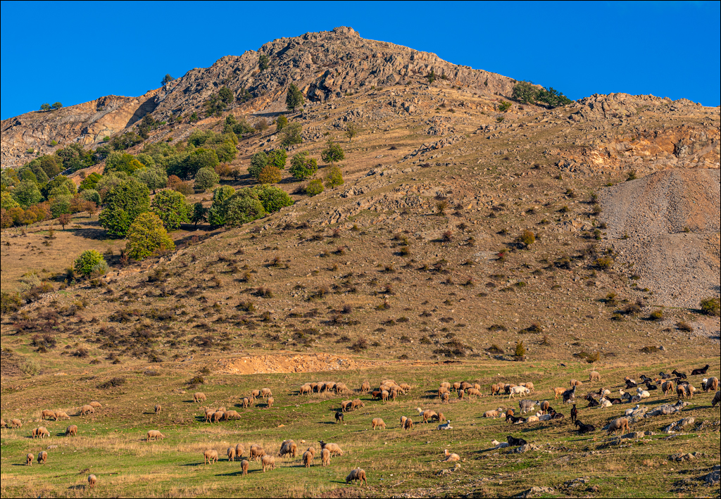 Munti Macin 121719 315