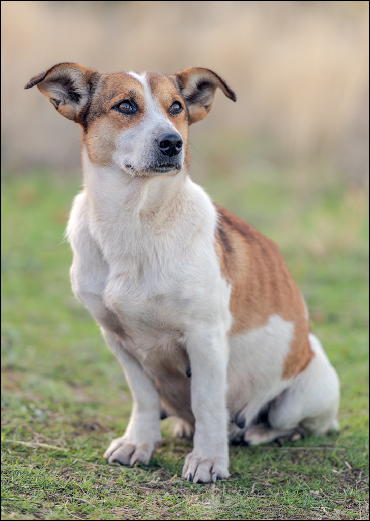 Munti Macin 122119 432