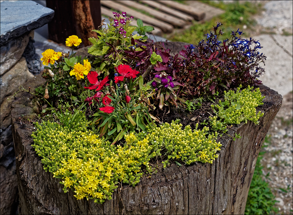 PiatraCraiului2016045