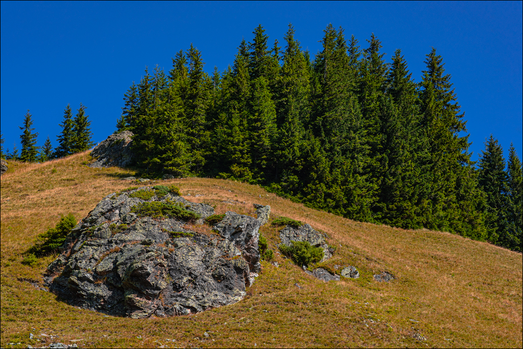 Rarau 25 26aug2023 107