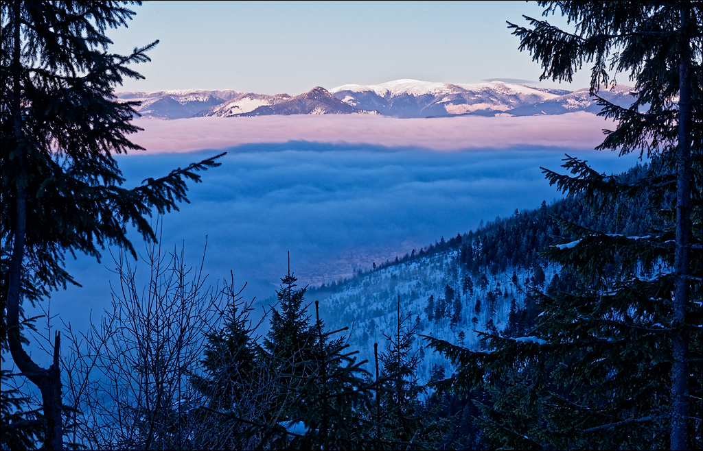 PetrosuMare 20172017020770