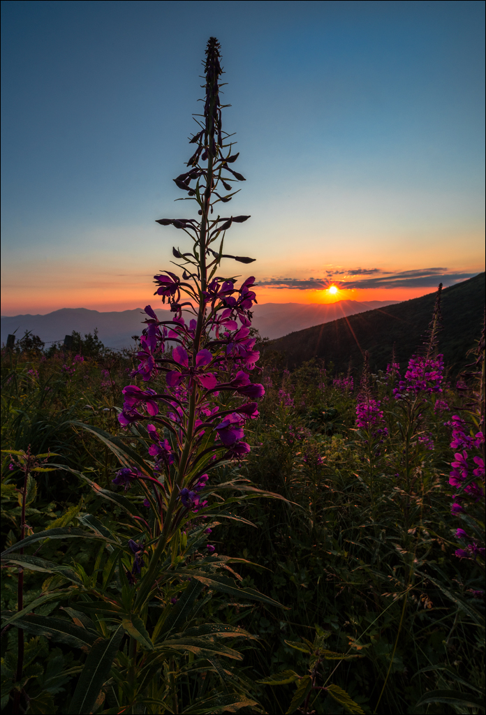 Rodnei Petrosu 20180805048