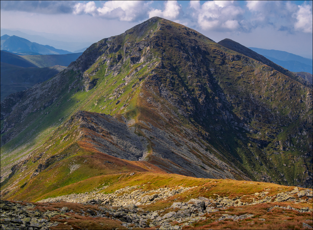 Rodnei Petrosu 20180805067