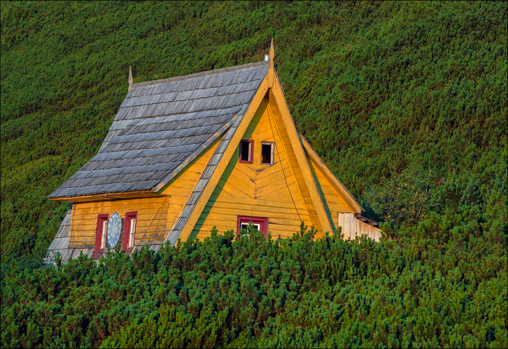 Rodnei Petrosu 20180805083