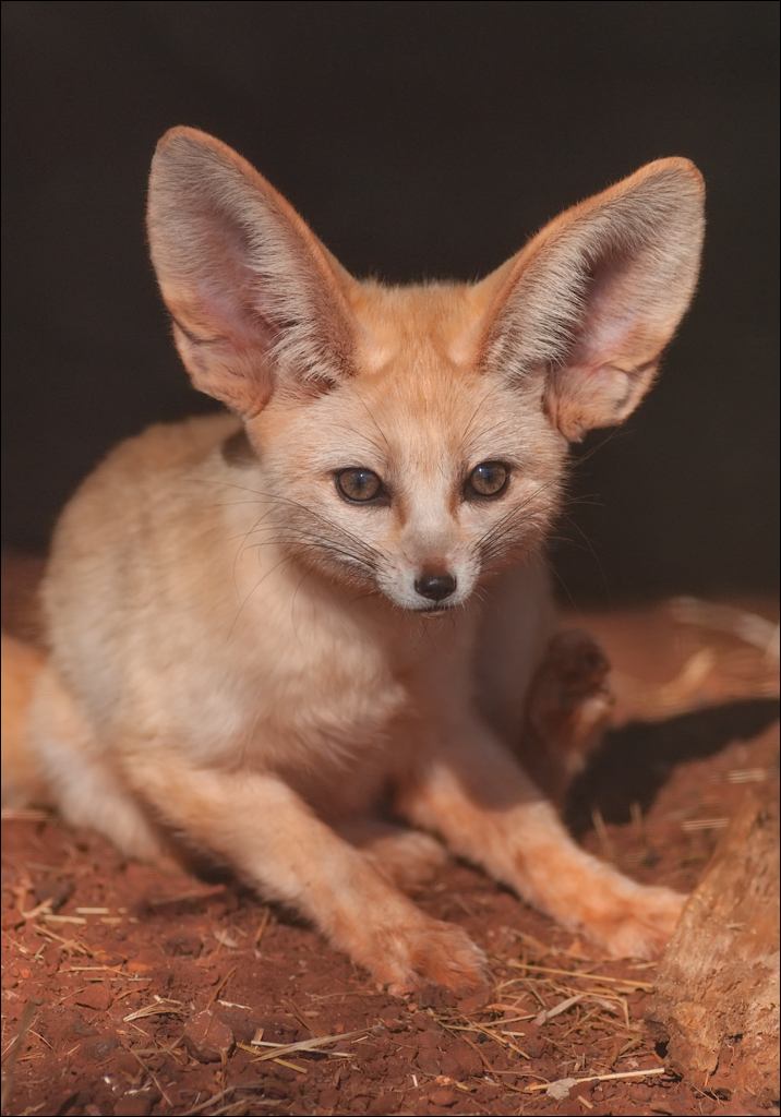 Pretoria 1 20150808039