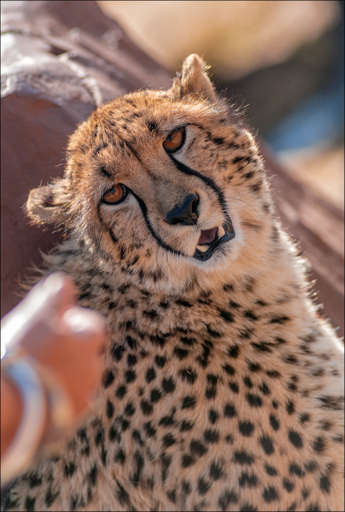 Pretoria 1 20150808048