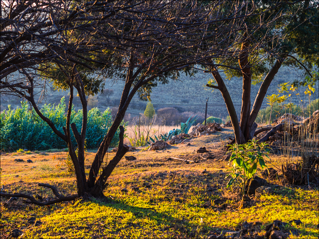 Pretoria 1 20150808113