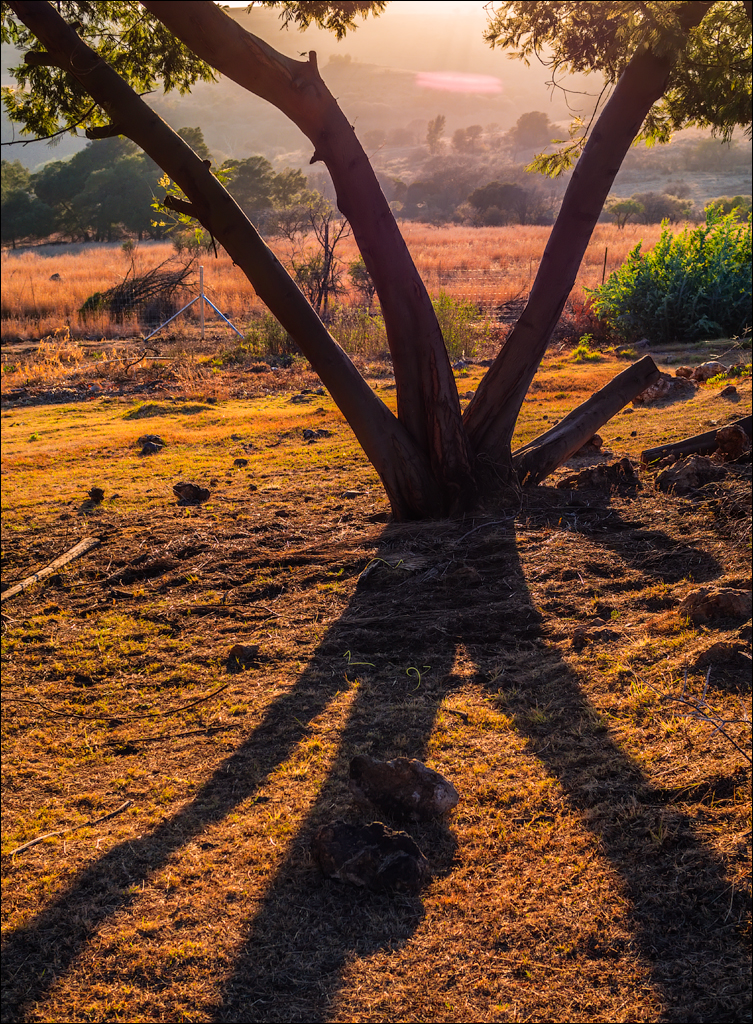 Pretoria 1 20150808122