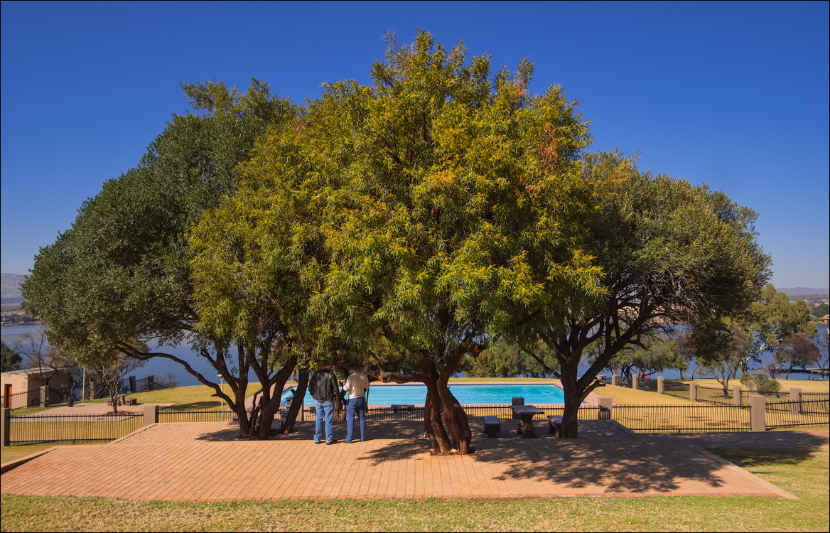 Pretoria 2 20150808008