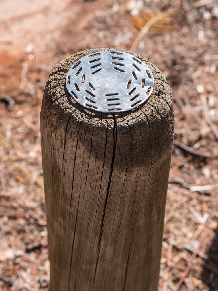 Pretoria 2 20150808089