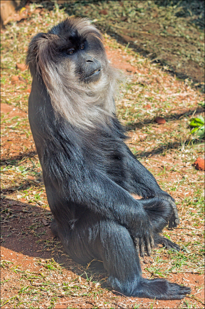 Pretoria 3 20150808048