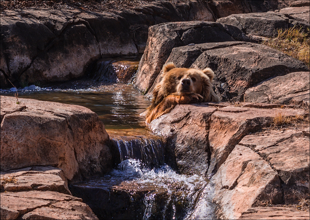 Pretoria 3 20150808063