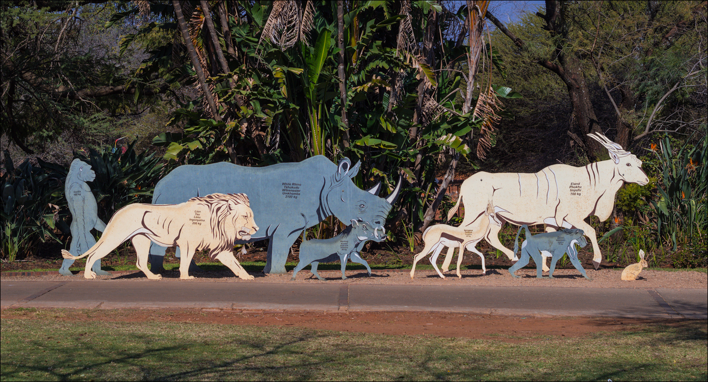 Pretoria 3 20150808065