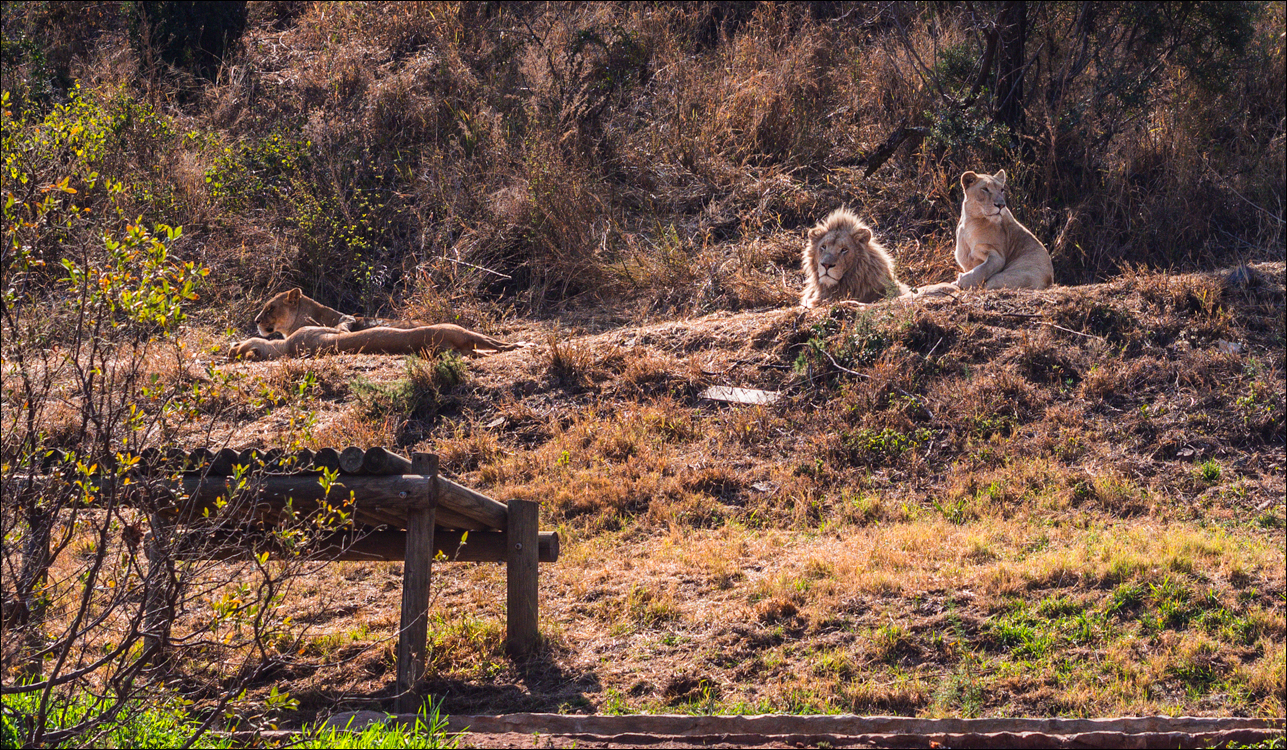 Pretoria 3 20150808067