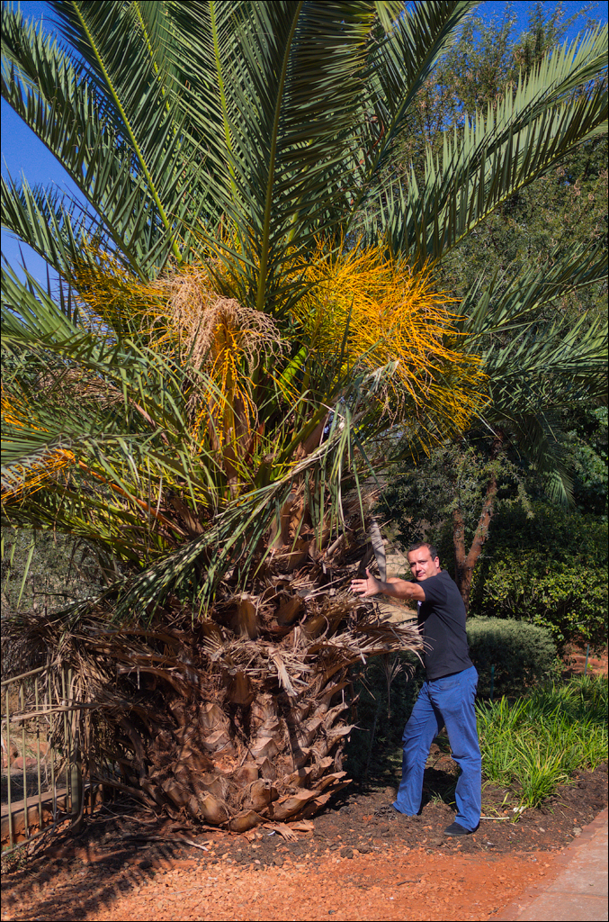 Pretoria 3 20150808072