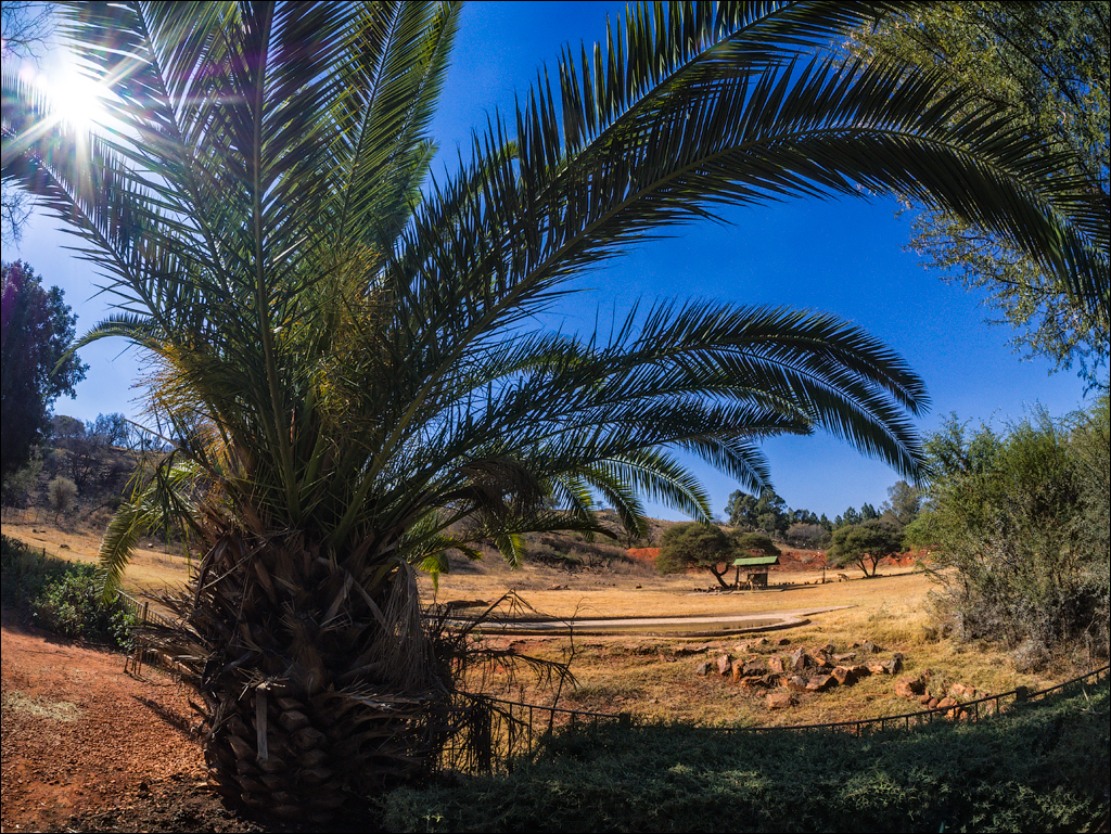 Pretoria 3 20150808074