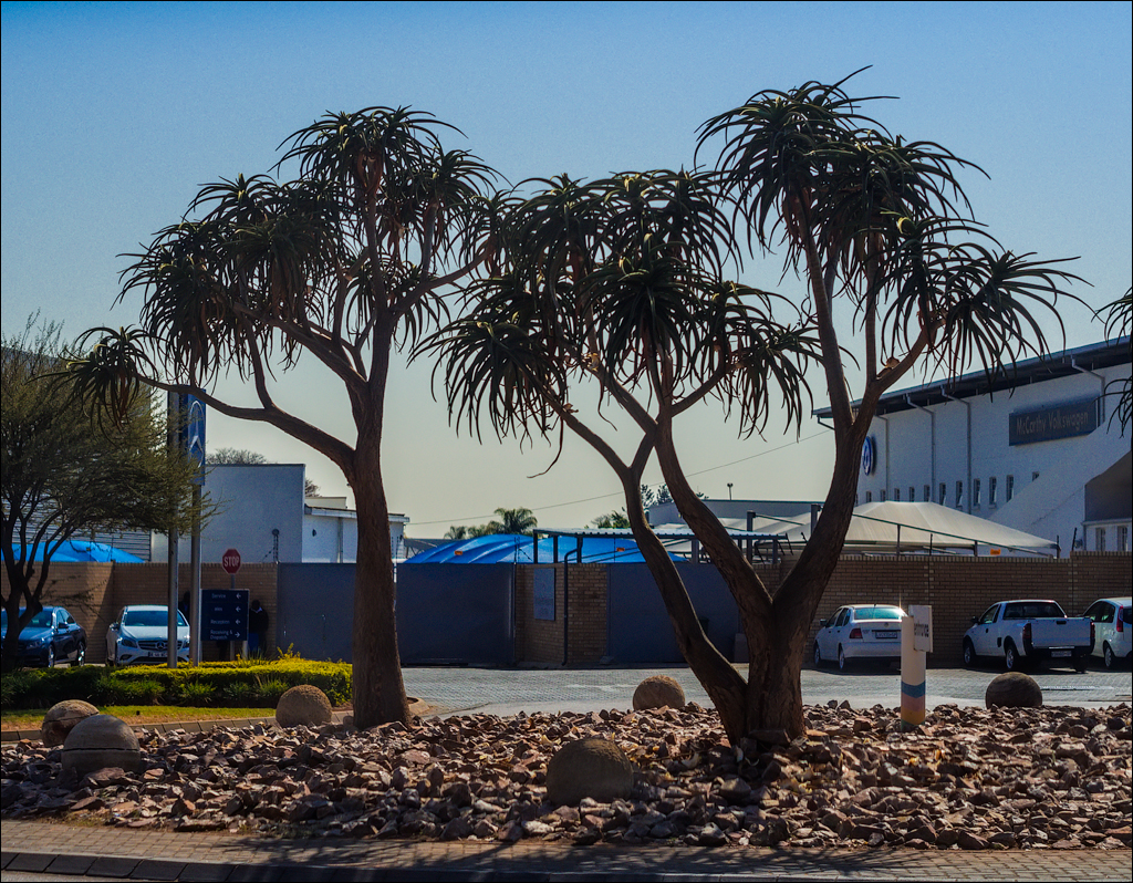 Pretoria 3 20150808107