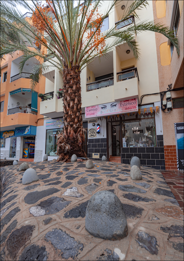 ElMedano 25dec2022 144