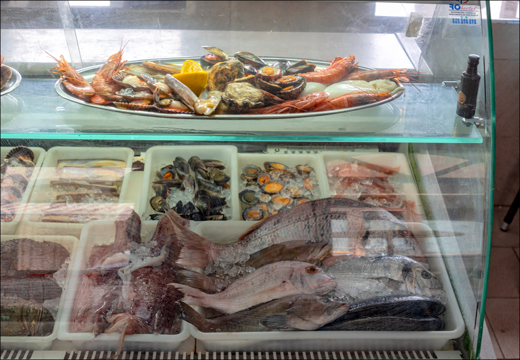 ElMedano 25dec2022 165